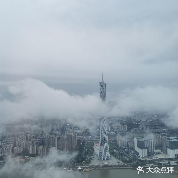 95楼的云端五星自助餐☁️☕广州瑰丽酒店