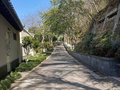 -宁波柏悦酒店·钱湖渔港