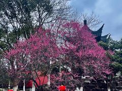 -丝绸小镇荻港古村