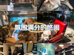 -咖法森林·咖啡  酒吧(天河店)