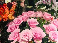 -Flower in(密渡桥店)