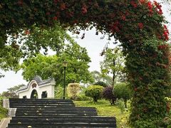 -东莞植物园