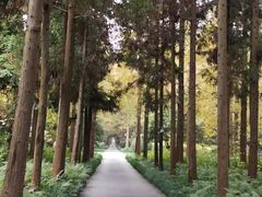 -上海怡沁园度假酒店