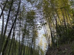 -千泷沟大瀑布旅游区