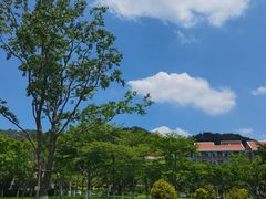 -厦门国家会计学院