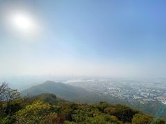 -紫金山山顶公园