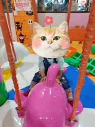 -熊孩子儿童主题乐园(八方地下商场店)