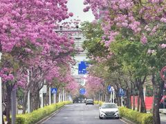 -万科前海企业公馆
