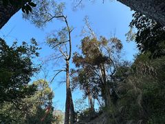 -东南悬空寺方广岩