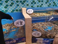 -乔哥铭洋海鲜自助(皇城恒隆广场店)