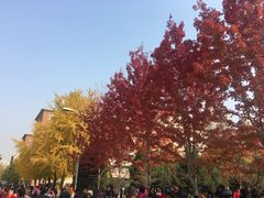 -辽宁大学(崇山校区)