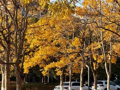 -浙江农林大学(东湖校区)