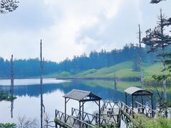 -瓦屋山景区