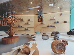 -飞行喵MR PILOT|猫舍·猫咖(静安大融城店)