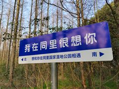 -同里国家湿地公园