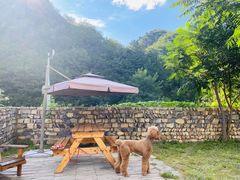 -北京山里寒舍度假酒店
