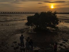 -宝安西湾红树林湿地公园