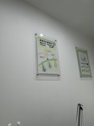 -凡碧诗毛孔清洁收细