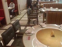 -南枝记
