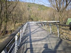 -西湖风景区-江洋畈生态公园