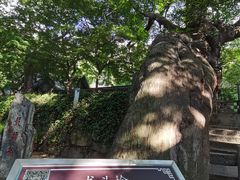 -青岛崂山太清宫