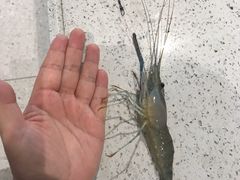 -嘻虾·钓虾工场(东莞总店)