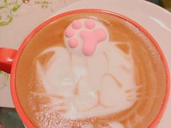 -猫色咖啡·猫咖