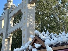 -天津妈祖文化园