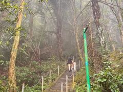-七仙岭温泉国家森林公园
