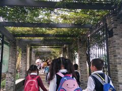 -龙寺生态园