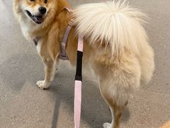 -KUDDO COFFEE(云城万科里店)