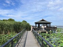 -阳澄湖半岛旅游度假区