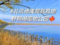 -野鸭湖国家湿地公园