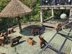 -深圳野生动物园