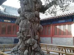 -北京国子监胡同