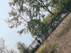 -松山湖风景区松湖烟雨