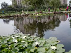 -前关湿地公园