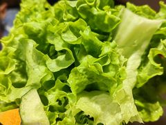 -九田家黑牛烤肉料理(太阳宫广场店)