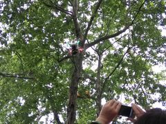 -许府牛火锅(信义坊总店)