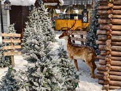 -HERRE·FARM 赫尔露营农场·团建聚会包场