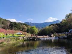-广州市石门国家森林公园