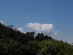 -杨家堂村