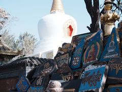-护国法轮寺