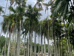-中国科学院西双版纳热带植物园