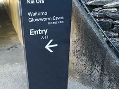 -怀托摩萤火虫洞