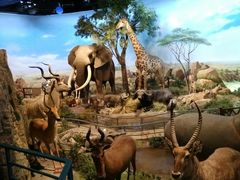 -陕西自然博物馆