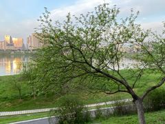 -西江红·株洲本地菜(滨江南路店)