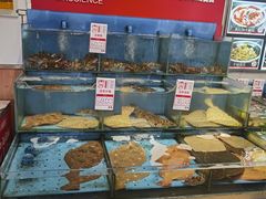 -添福来墨鱼饺子 · 海鲜东北菜(大连星海·黄浦路店)