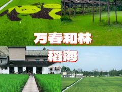 -老鼎万春卤菜(五代传承创始老店)