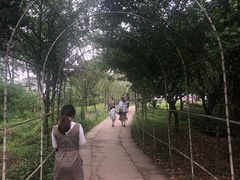 -秀丽东方